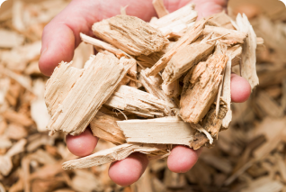 CIR4FUN Market Research Survey Recycling Companies